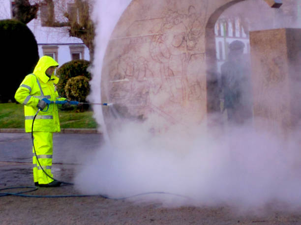 Best Pressure Washing Driveway  in Cortez, FL