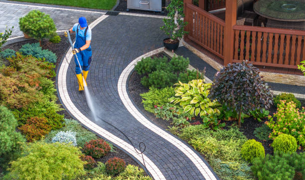 Best Roof Pressure Washing  in Cortez, FL