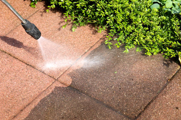 Best Fence Pressure Washing  in Cortez, FL